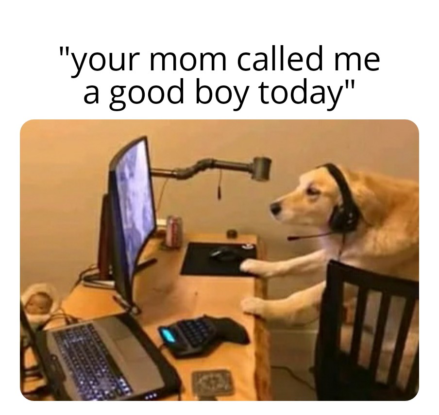 i6srfq7yo0m71.jpg