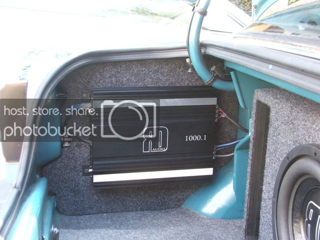 cavy338.jpg