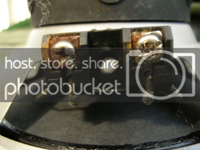 DSCN5509.jpg