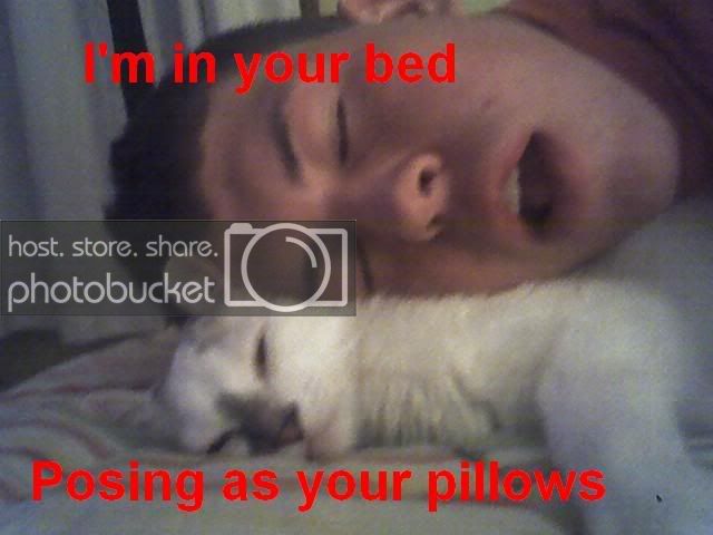 iminyourbed2.jpg
