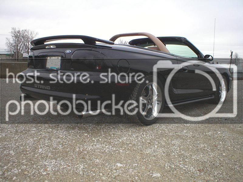 stang6.jpg