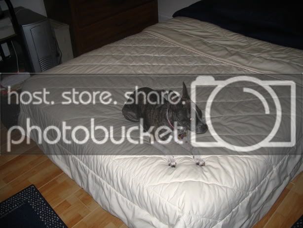 IMG_1570.jpg