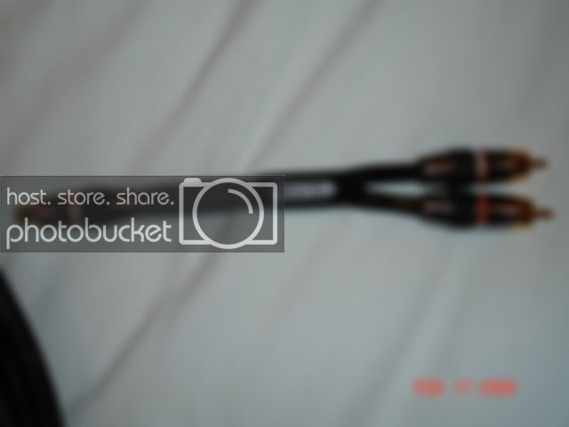 MSB1000003.jpg