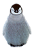 penguin.gif
