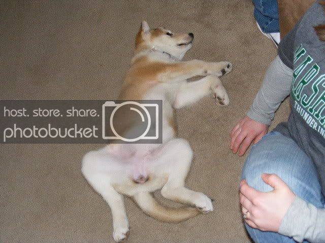 DSCF2537.jpg