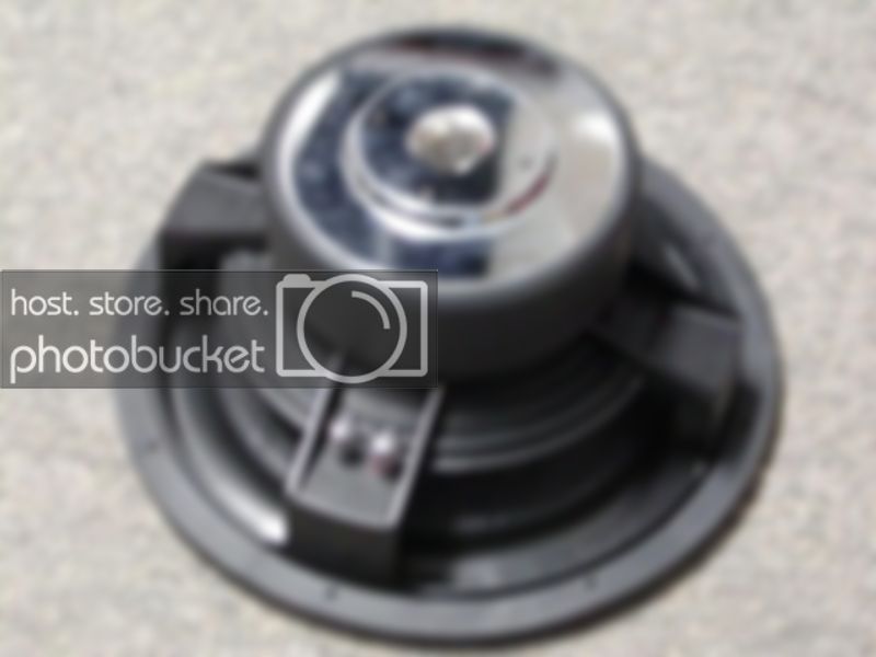 P1010030-1.jpg