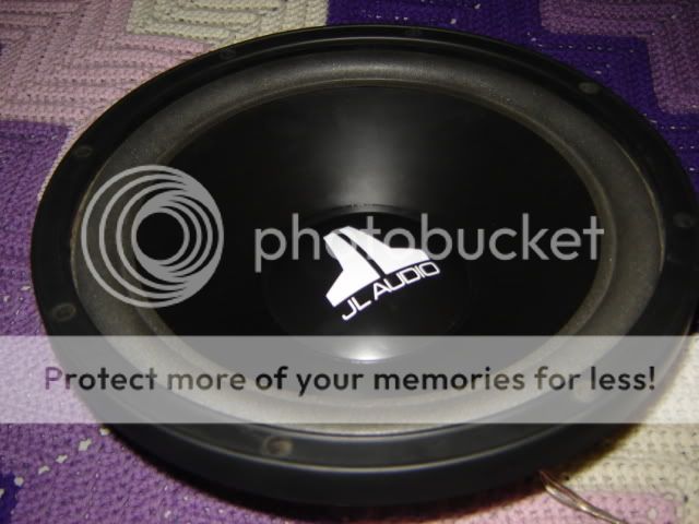 DSC08114.jpg