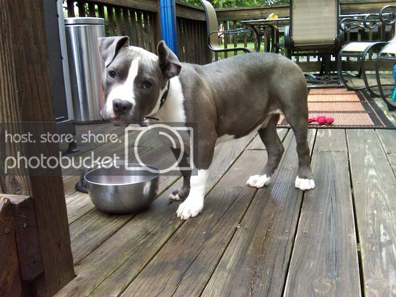 BLUE11weeks.jpg