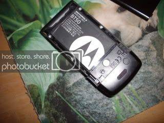 w490004.jpg