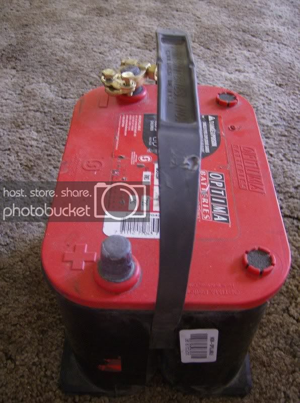 redtopfs005.jpg