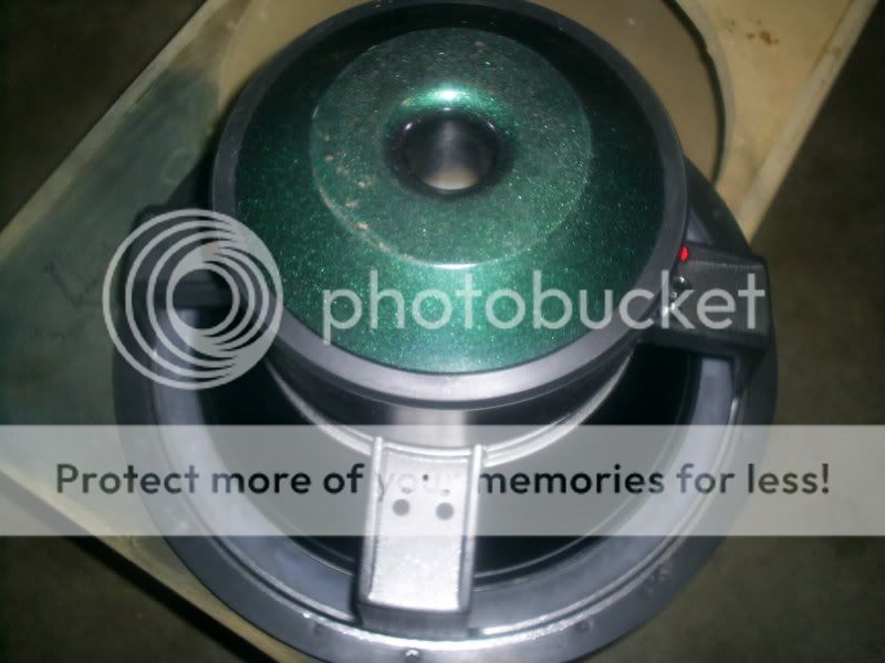 S4023125.jpg