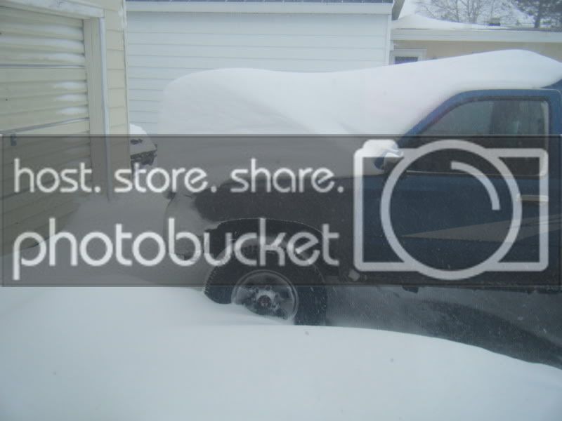 DSCF60561.jpg