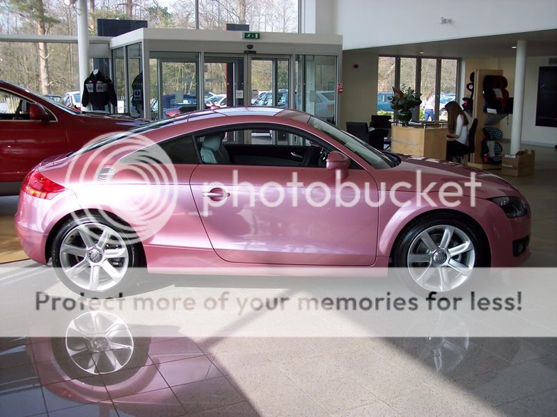 Pink04.jpg