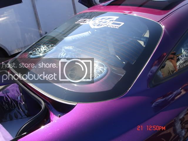 Picture2828.jpg