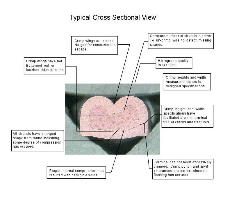 Cross_Section_View.jpg