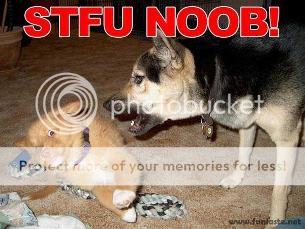 noob.jpg