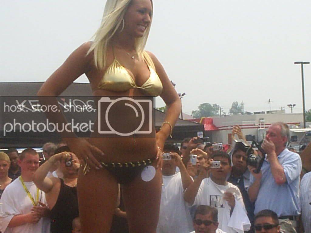 Picture259.jpg