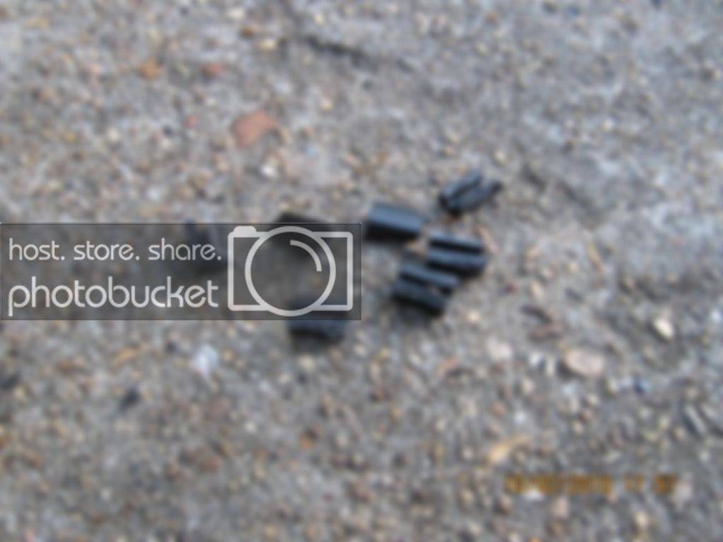 Vdub012.jpg