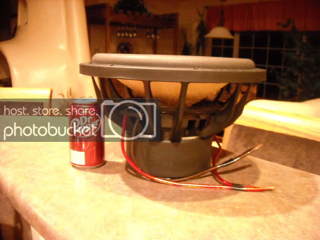 DSCN0917.jpg