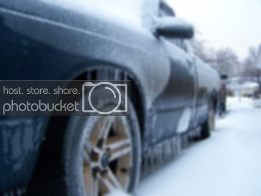 dec2008icestorm003.jpg