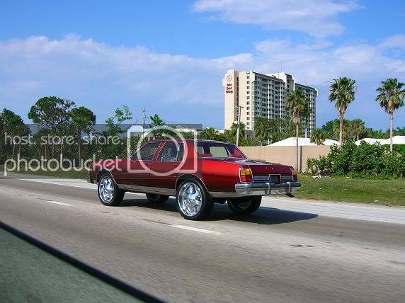 954bx95.jpg