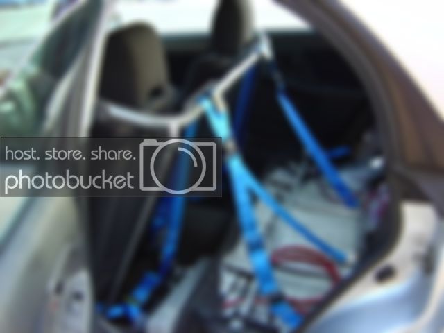 WinterWRX013.jpg