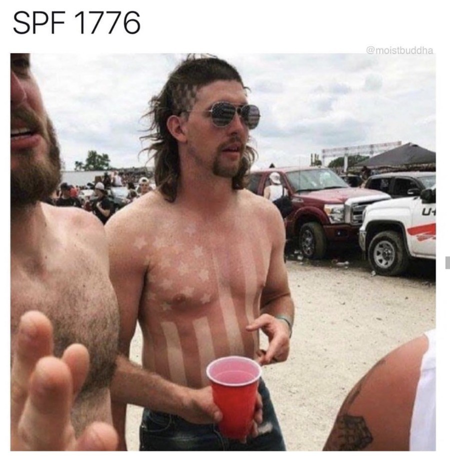 Sour+memes+with+strong+umami+undertones_dc71d7_6320943.jpg