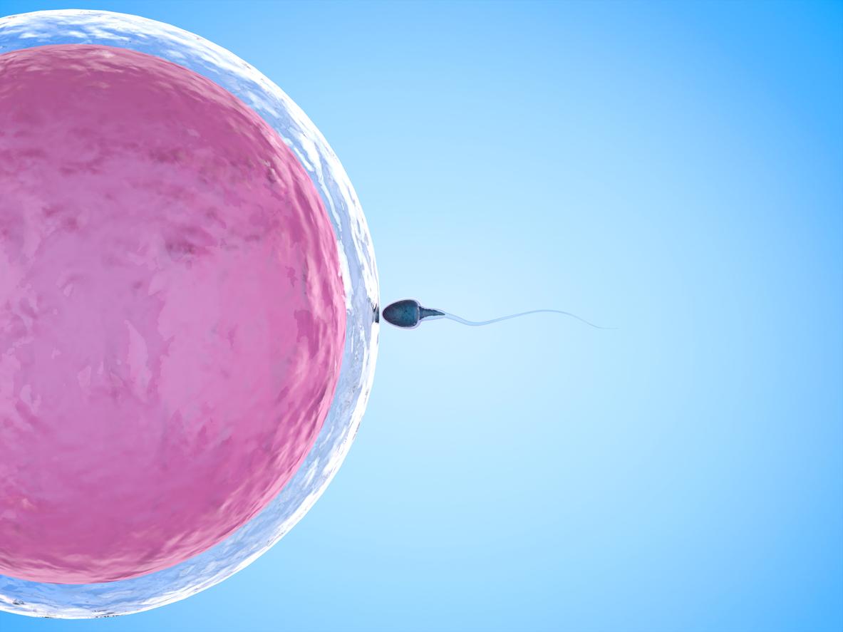 www.fertilitycenter.com