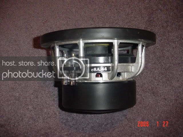 DSC04242.jpg