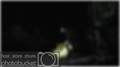 kill10b.gif