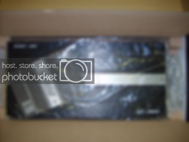 SD530803.jpg
