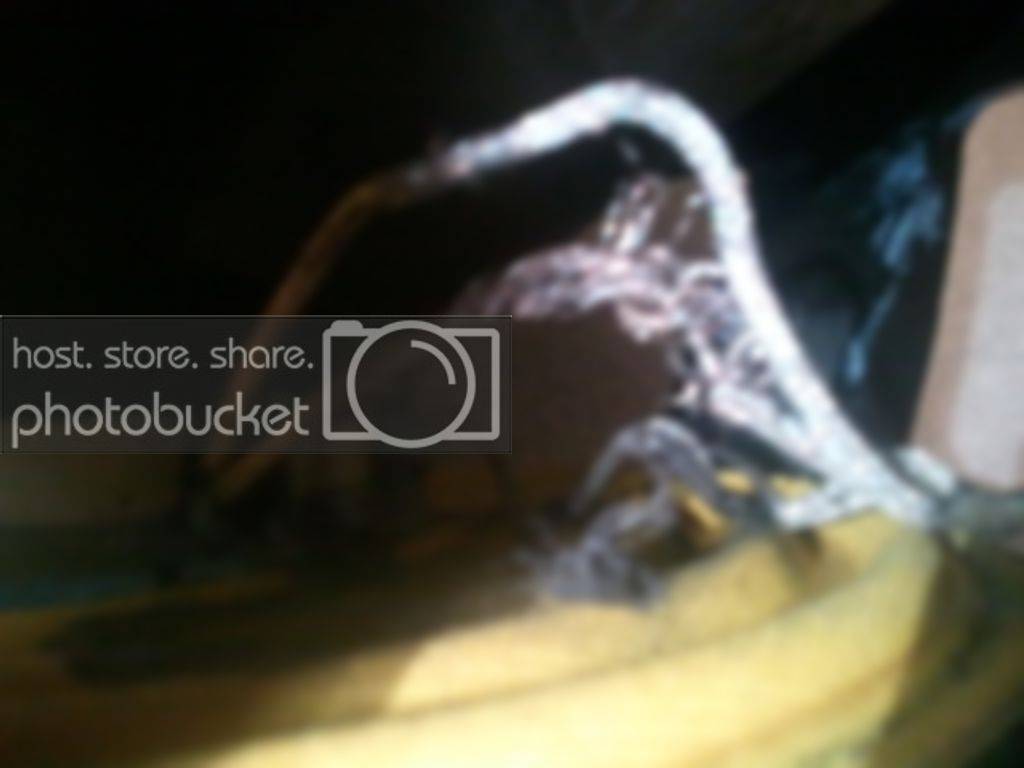 2011-04-24225421.jpg