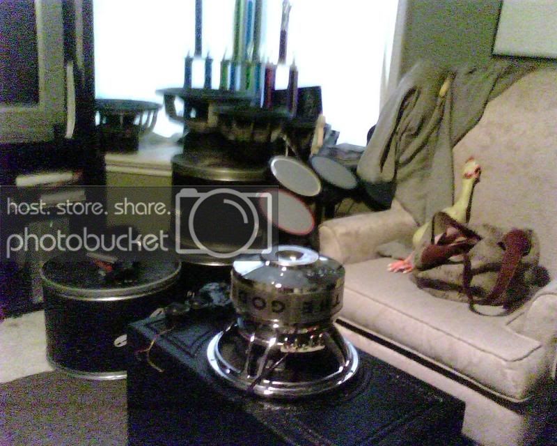 IMG00549.jpg