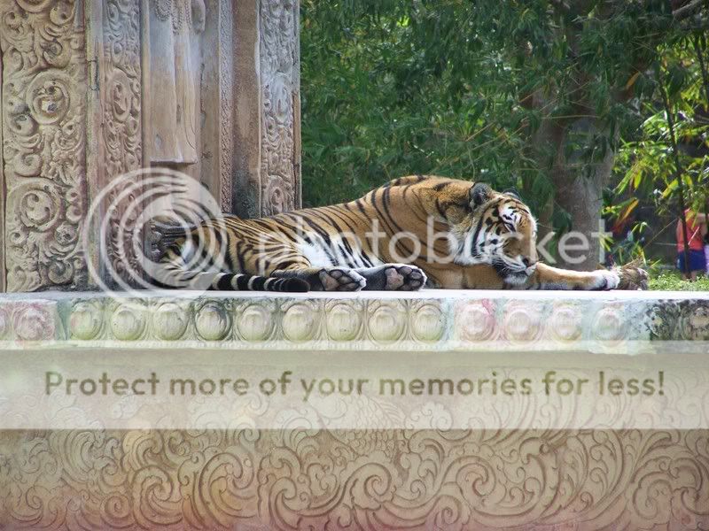zoo089.jpg