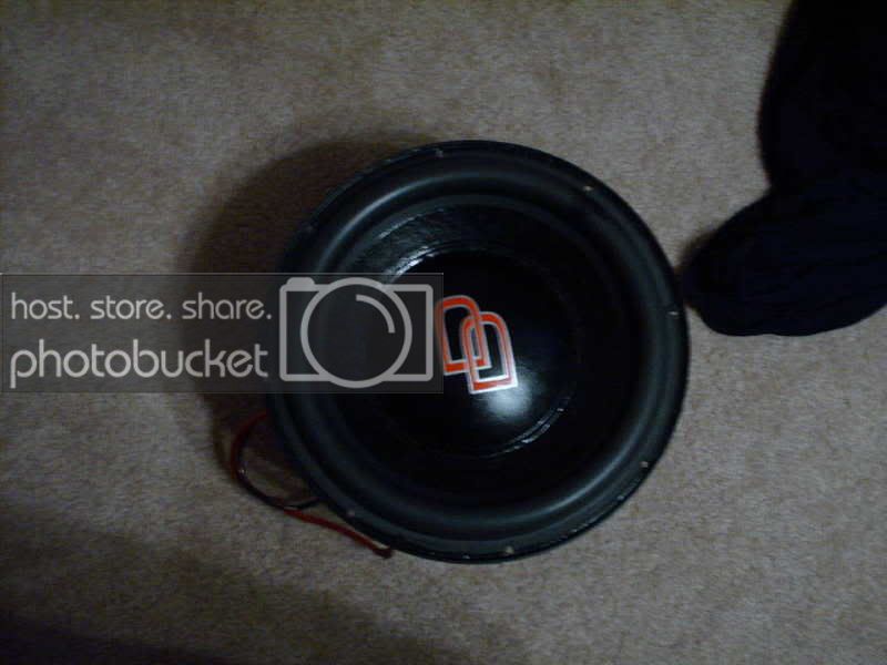 mypics288.jpg