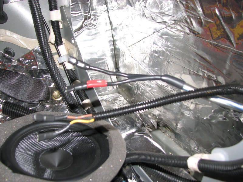 SciontC_rearcavity005.jpg