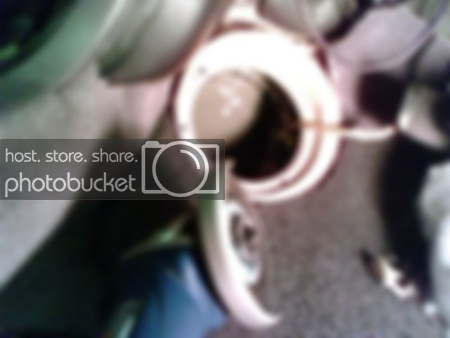 IMG00309.jpg
