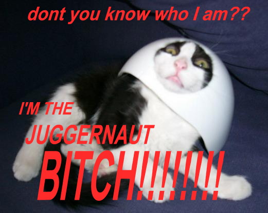 1174326255-juggernaut_cat.jpg
