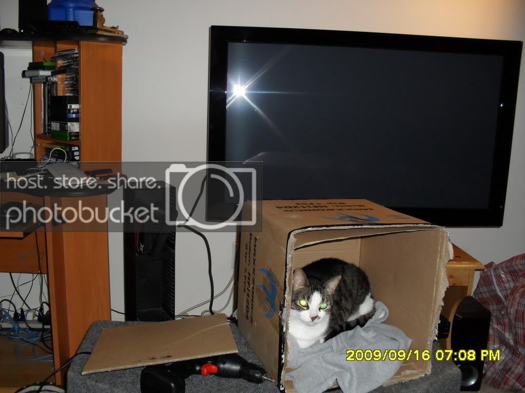 SDC10221.jpg