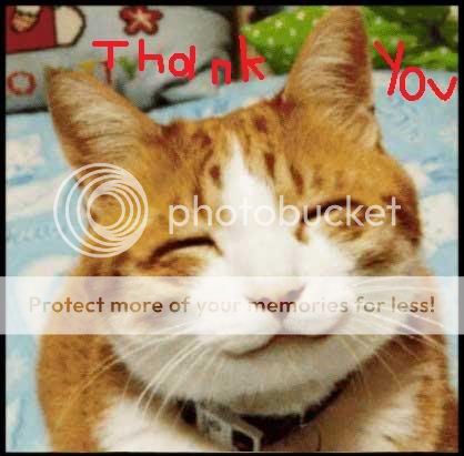 thankyoucat.jpg