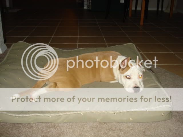 04-21-2009003.jpg