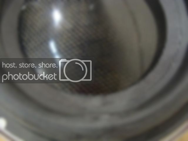 DSC01794.jpg