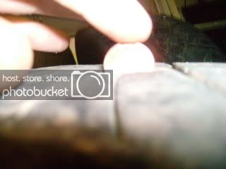 2009March443.jpg