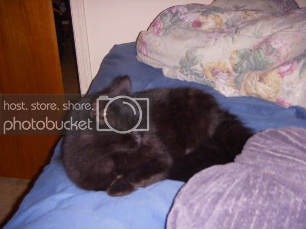 DSCN1894.jpg