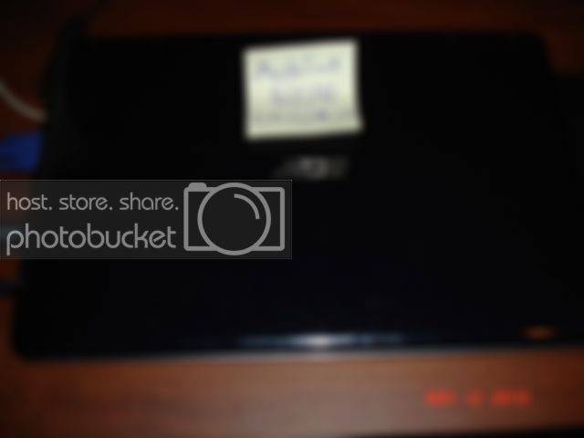 Acer5532006.jpg