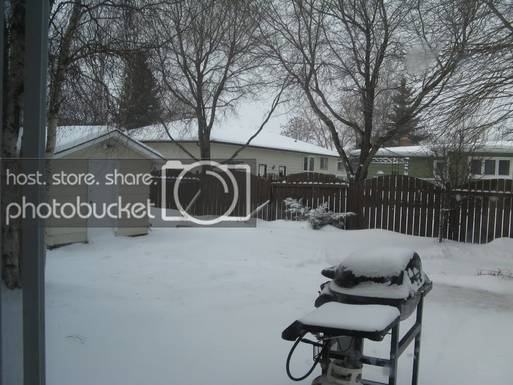 Picture003.jpg
