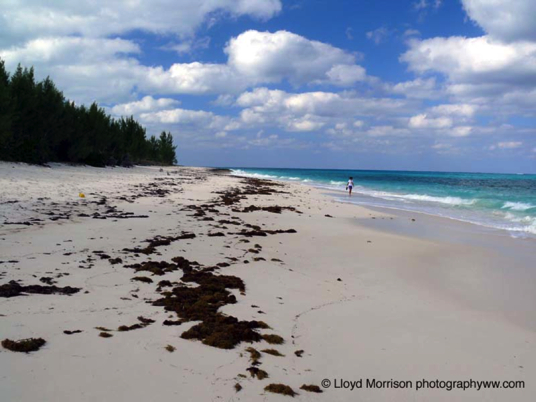 Beach%20at%20Manjack%20Cay%20Abacos.jpg