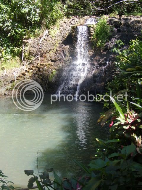 Waterfall.jpg
