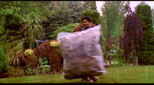 KumarWeedBag.gif