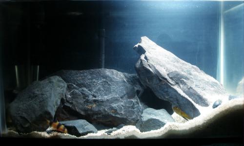 10785a.jpg